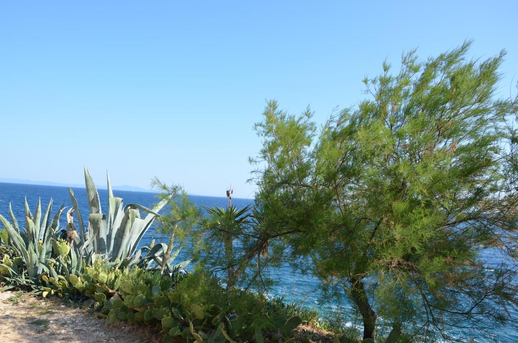 Villa Fortudor ميلنا المظهر الخارجي الصورة